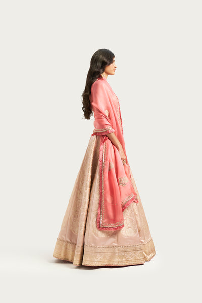 ZOONI PALE EARTH LEHENGA SET